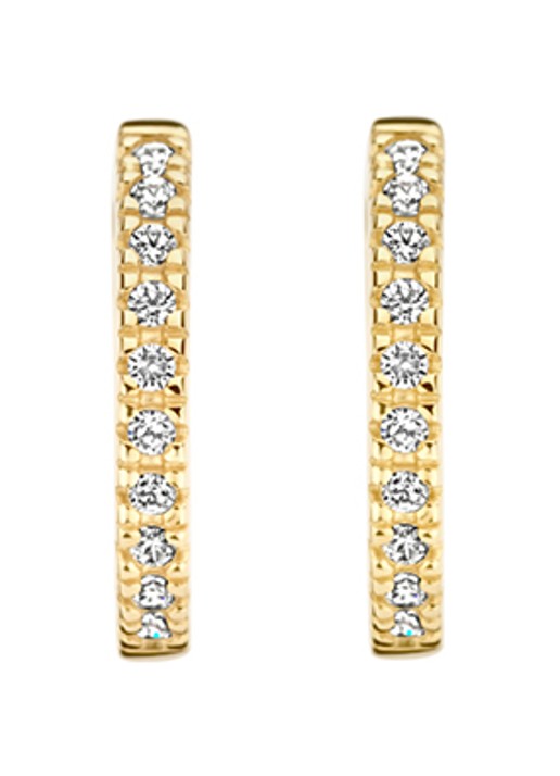 Blush Oorringen van 14 karaat geelgoud met zirkonia 7307YZI  - voorkant 4 geelgoud