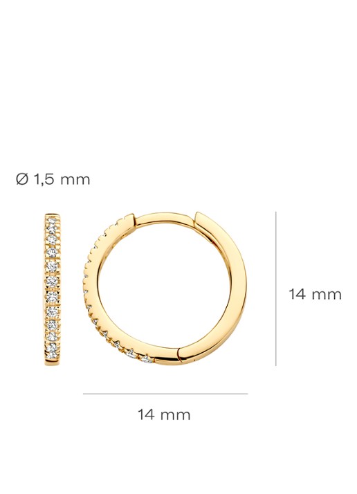 Blush Oorringen van 14 karaat geelgoud met zirkonia 7309YZI  - detail 2 geelgoud