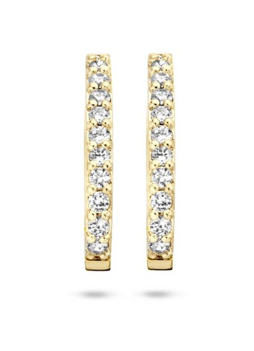 Blush Oorringen van 14k geelgoud 7236YZI  - detail 2 goud