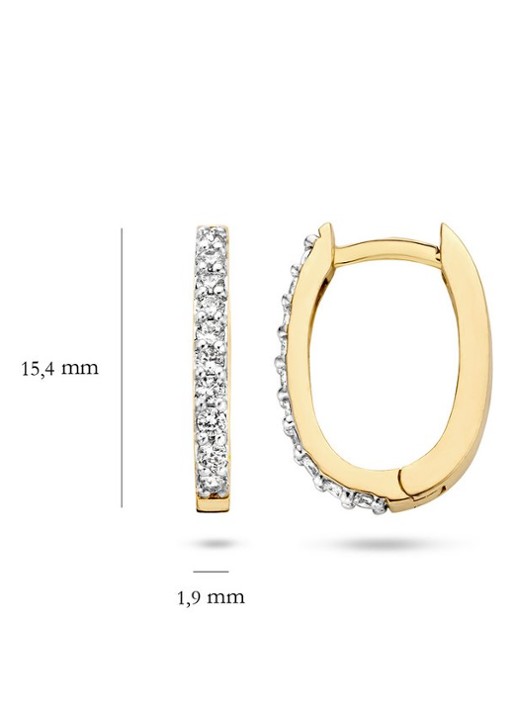 Blush Oorringen van 14k geelgoud 7236YZI  - detail 4 goud