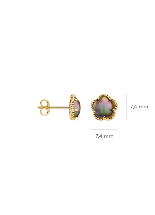 Blush Oorstekers van 14 karaat geelgoud 7400YBQ - detail 2 undefined