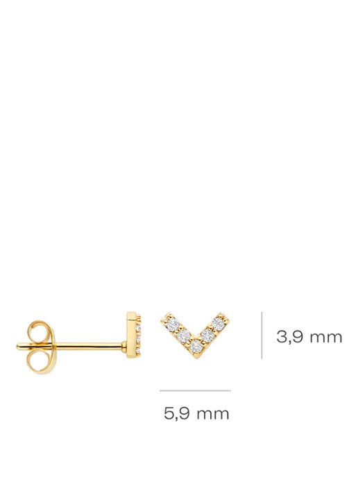 Blush Oorstekers van 14 karaat geelgoud met zirkonia 7374YZI  - detail goud