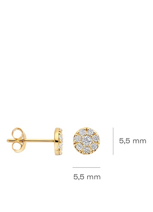 Blush Oorstekers van 14 karaat geelgoud met zirkonia 7396YZI - detail 2 geelgoud