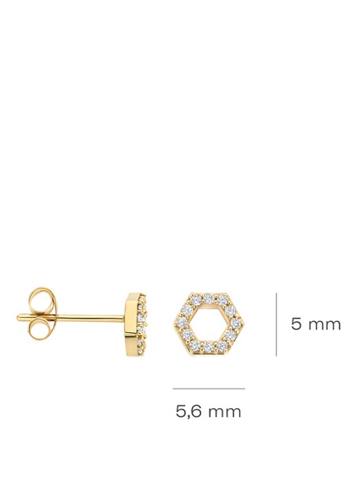 Blush Oorstekers van 14 karaat geelgoud met zirkonia 7401YZI - detail 4 undefined
