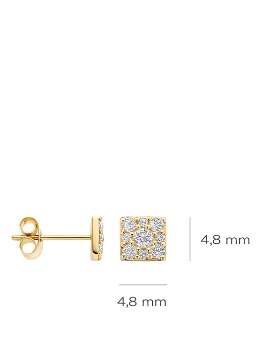 Blush Oorstekers van 14 karaat geelgoud met zirkonia7395YZI  - detail 4 undefined