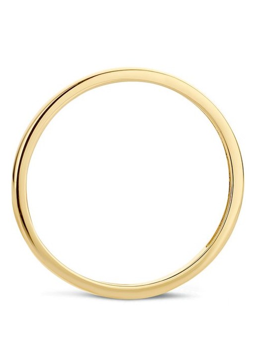 Blush Ring van 14 karaat geelgoud 1197YGO - voorkant 2 geelgoud