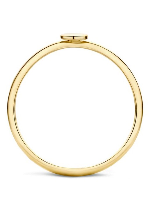Blush Ring van 14 karaat geelgoud 1212YGO - detail 3 goud