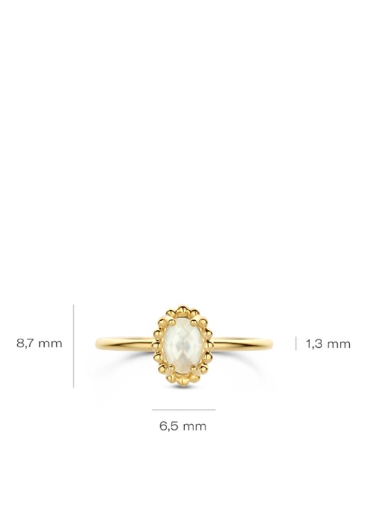 Blush Ring van 14 karaat geelgoud 1272YMQ  - detail 4 goud