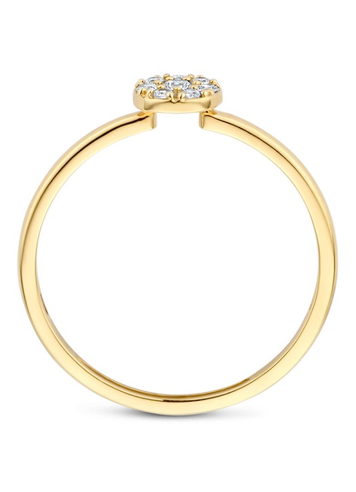 Blush Ring van 14 karaat geelgoud  1277YZI - detail 2 goud