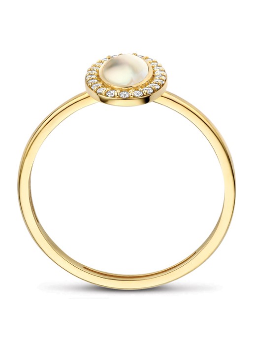 Blush Ring van 14 karaat geelgoud 1279YMQ - detail 2 undefined