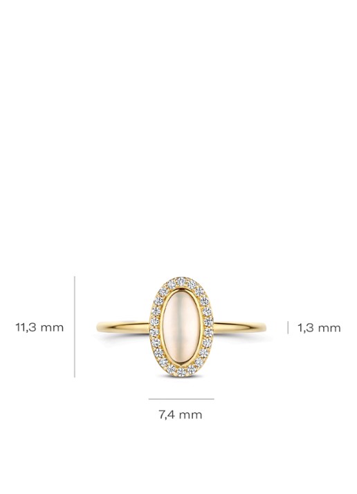 Blush Ring van 14 karaat geelgoud 1279YMQ - detail 3 undefined