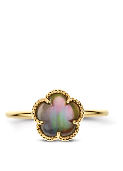 Blush Ring van 14 karaat geelgoud 1281YBQ  - detail geelgoud