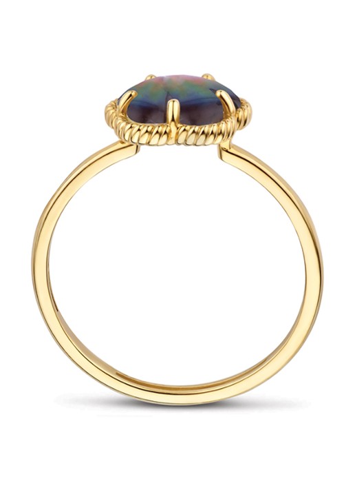 Blush Ring van 14 karaat geelgoud 1281YBQ  - detail 2 geelgoud