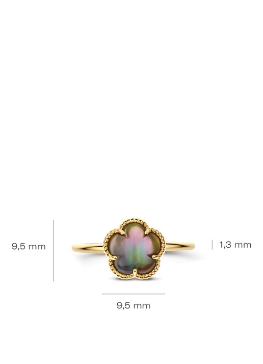 Blush Ring van 14 karaat geelgoud 1281YBQ  - detail 3 geelgoud