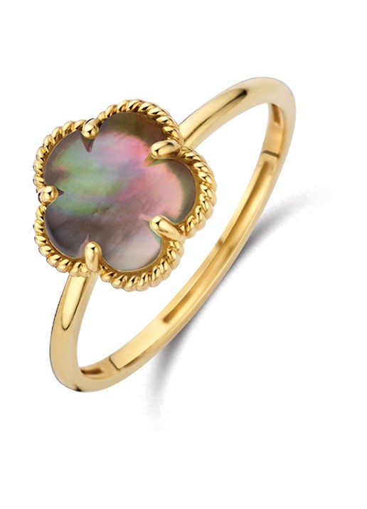Blush Ring van 14 karaat geelgoud 1281YBQ  - voorkant 4 geelgoud