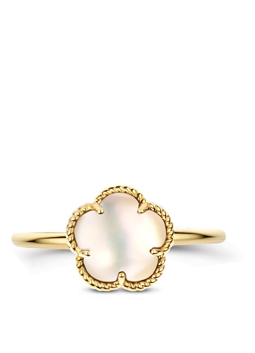 Blush Ring van 14 karaat geelgoud 1281YMQ - detail geelgoud
