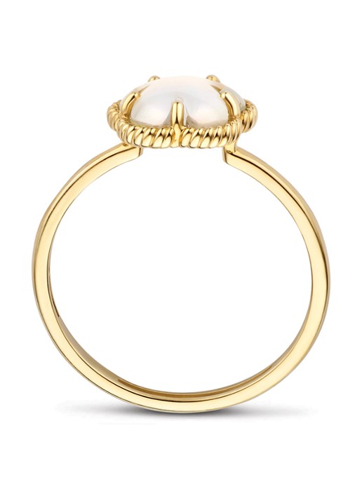 Blush Ring van 14 karaat geelgoud 1281YMQ - detail 2 geelgoud