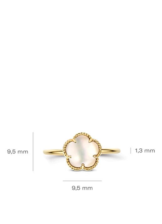Blush Ring van 14 karaat geelgoud 1281YMQ - detail 3 geelgoud