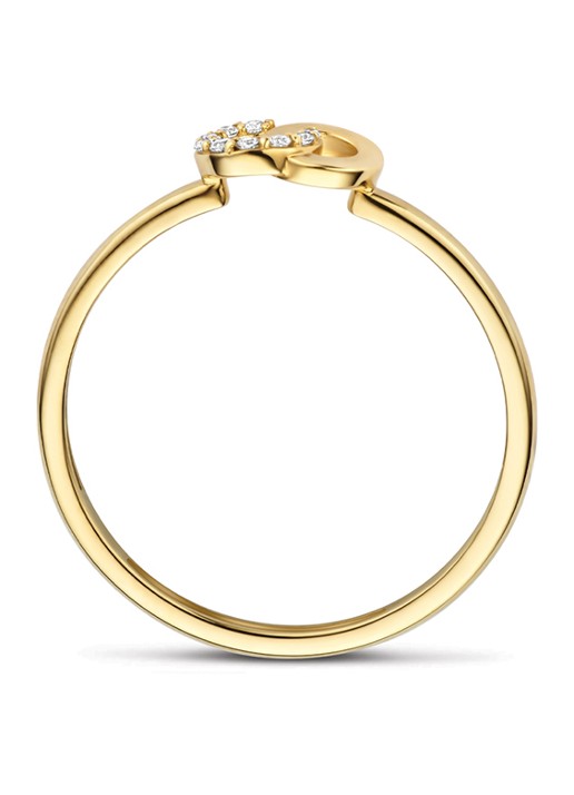 Blush Ring van 14 karaat geelgoud 1282YZI  - detail 4 geelgoud
