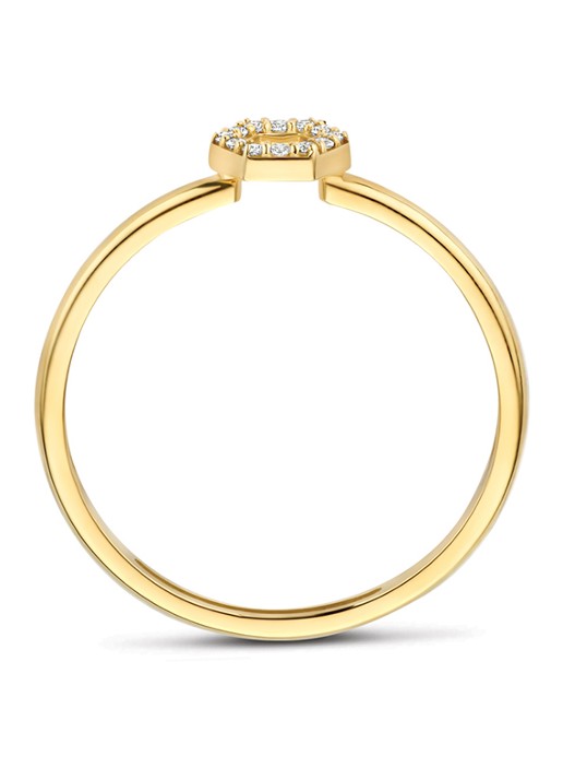 Blush Ring van 14 karaat geelgoud 1287YZI - detail 3 undefined