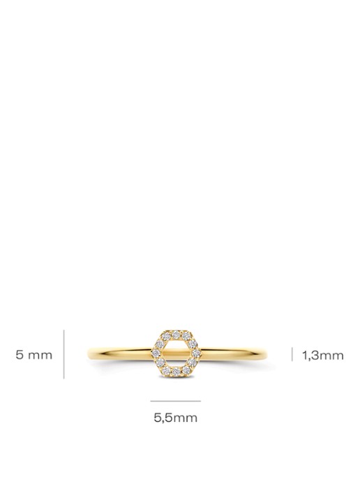 Blush Ring van 14 karaat geelgoud 1287YZI - detail 4 undefined