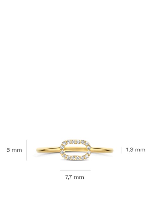 Blush Ring van 14 karaat geelgoud 1289YZI  - detail 3 geelgoud
