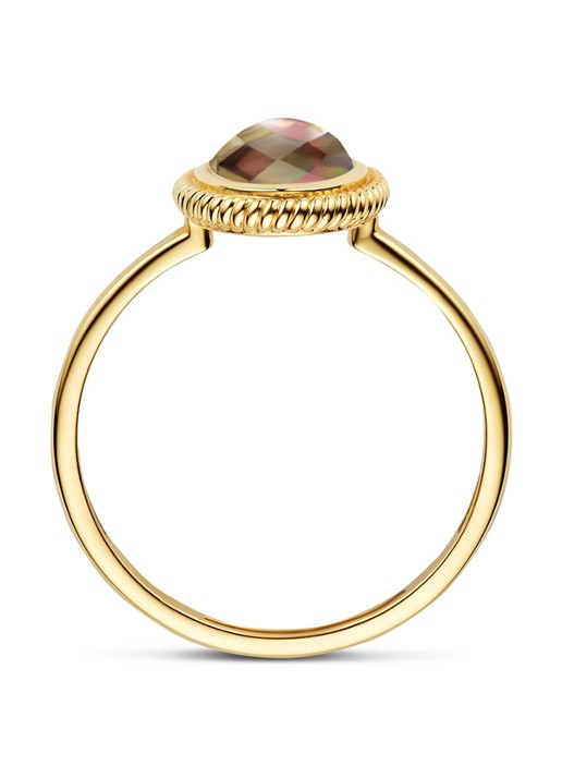 Blush Ring van 14 karaat geelgoud 1291YBQ  - detail 2 undefined