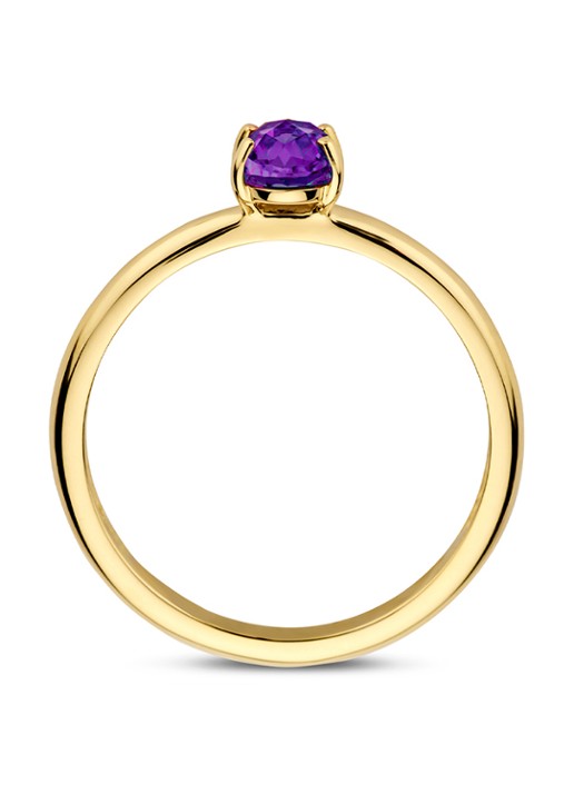 Blush Ring van 14 karaat geelgoud met amethist 1242YAM - voorkant 4 geelgoud