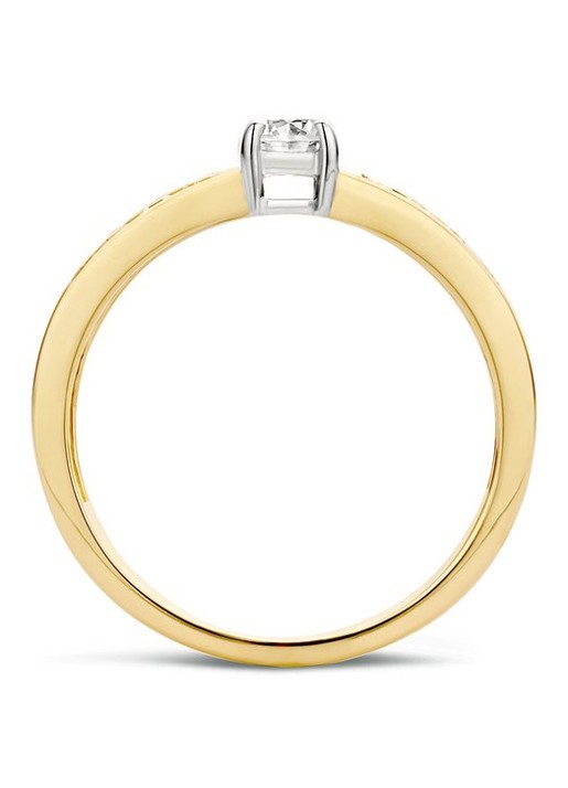 Blush Ring van 14 karaat geelgoud met zirkonia 1125BZI - detail geelgoud
