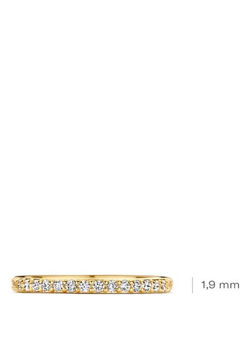 Blush Ring van 14 karaat geelgoud met zirkonia 1244YZI  - detail 2 geelgoud