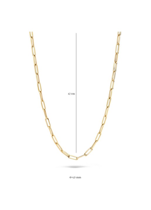 Blush Schakelketting van 14 karaat geelgoud 3101YGO - detail geelgoud