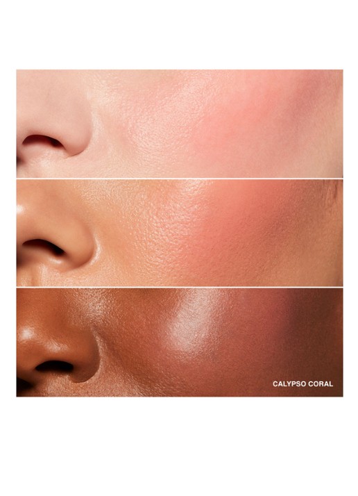 Bobbi Brown Pot Rouge Lip & Cheek Tint - detail 4 calypso coral