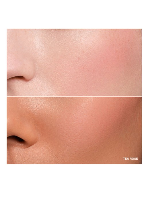 Bobbi Brown Pot Rouge Velvet Matte - 2-in-1 blush - detail 2 tea rose