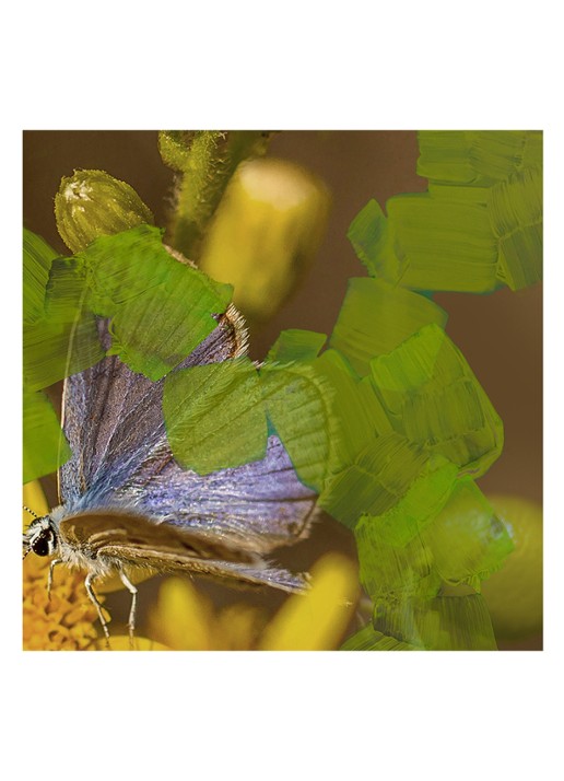 Byredo Animalique Eau de Parfum - detail 4 undefined