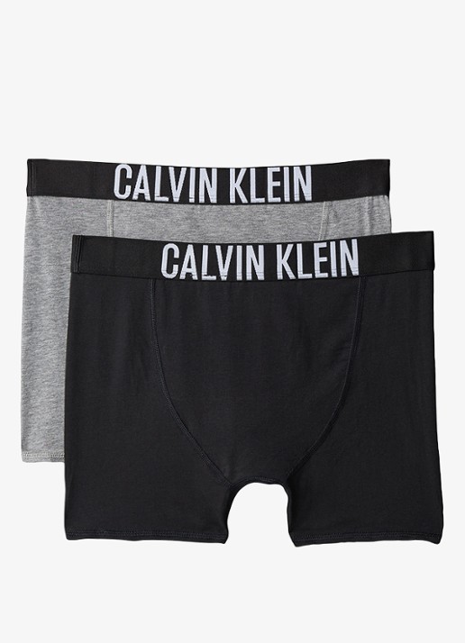 Calvin Klein Boxershorts met logoband in 2-pack - achterkant grijs