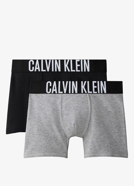 Calvin Klein Boxershorts met logoband in 2-pack