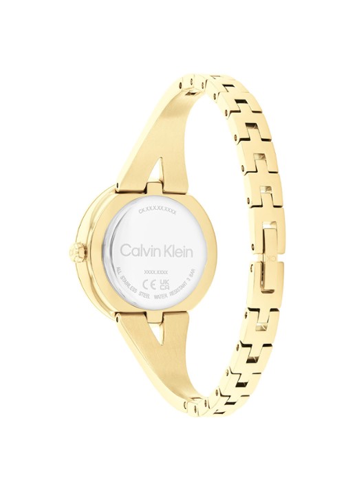 Calvin Klein Horloge CK25100027 - detail goud