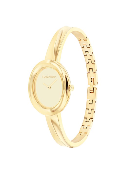 Calvin Klein Horloge CK25100056  - detail 3 goud