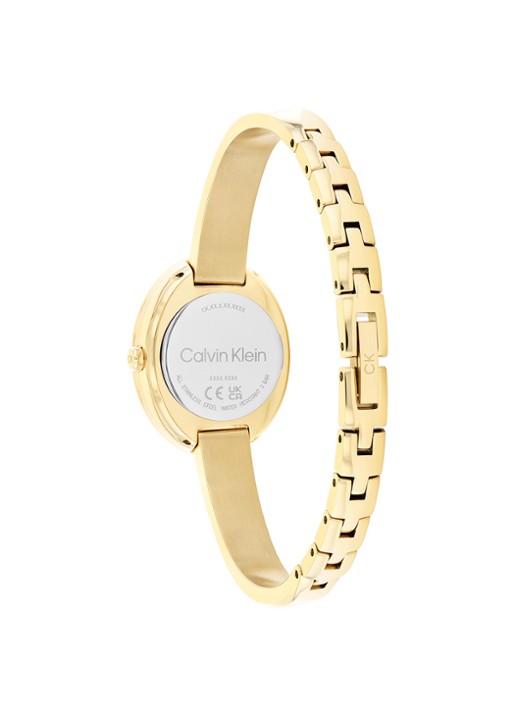 Calvin Klein Horloge CK25100056  - detail 4 goud