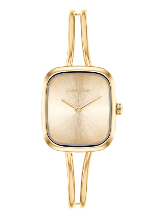 Calvin Klein Horloge CK25100132