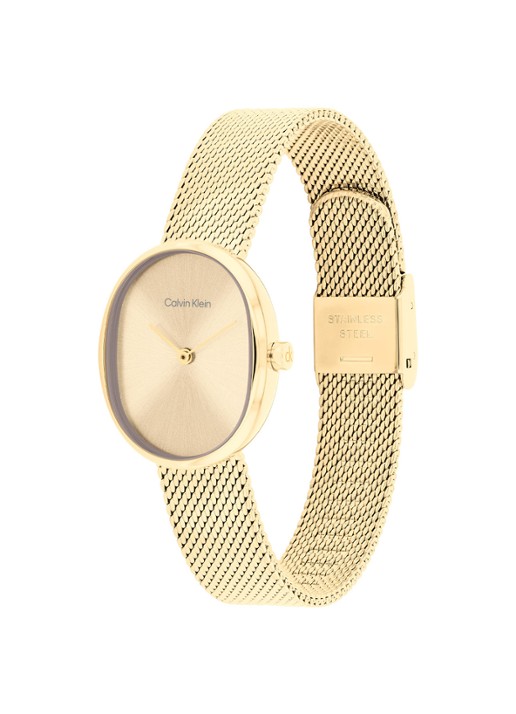 Calvin Klein Horloge CK25100174  - detail goud