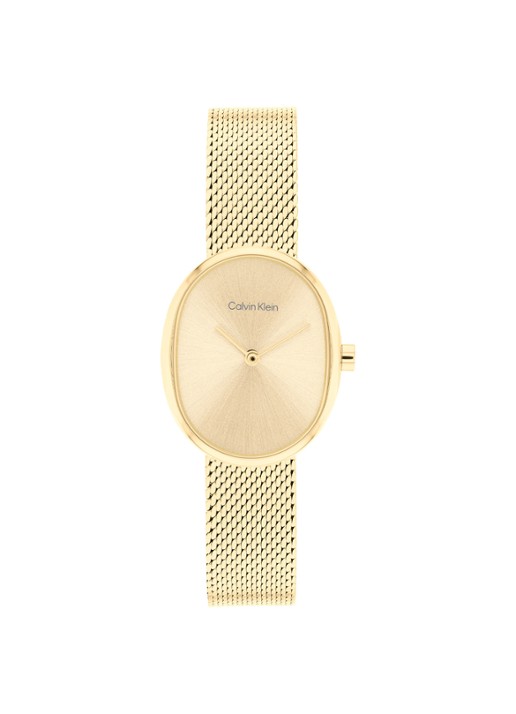 Calvin Klein Horloge CK25100174