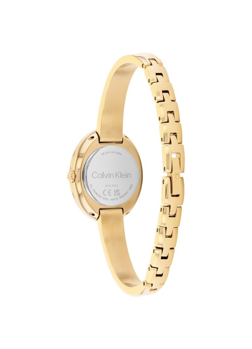 Calvin Klein Horloge CK25100203  - detail 4 goud