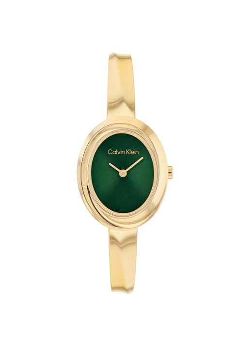 Calvin Klein Horloge CK25100203