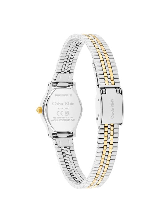 Calvin Klein Horloge CK25100207  - detail 2 zilver