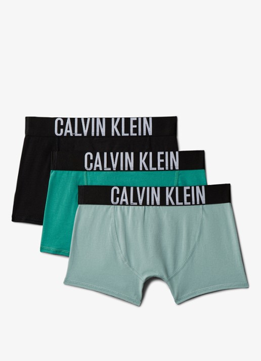 Calvin Klein Intense power boxer met logoband in 3-pack - achterkant turquoise