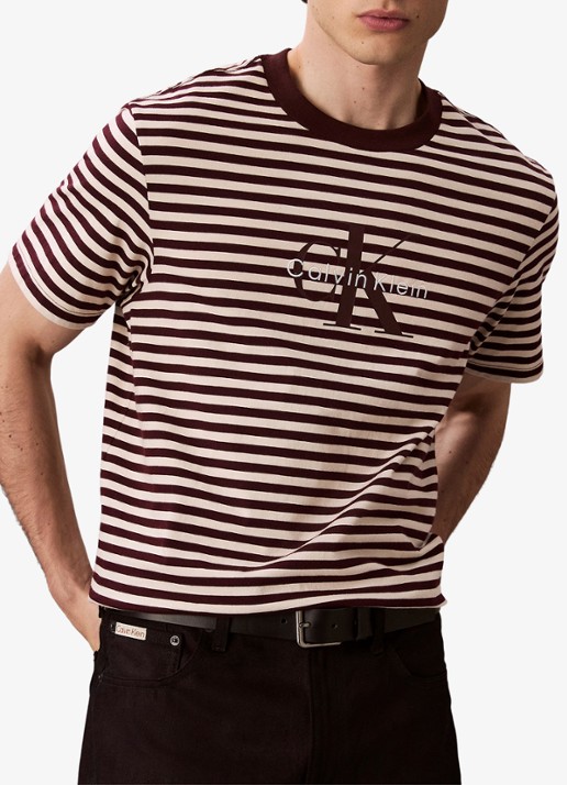 Calvin Klein T-shirt met streepprint en logo - detail 6 bruin