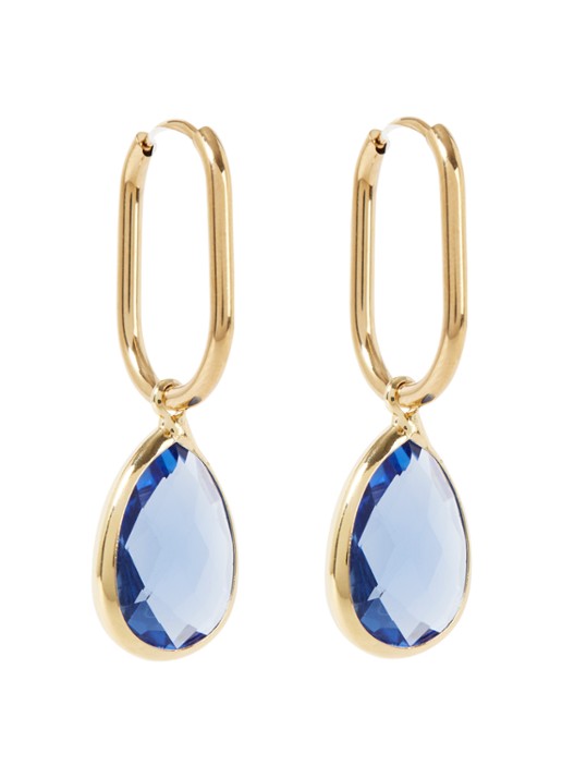 Camps & Camps Enchanting Crystal oorhangers verguld