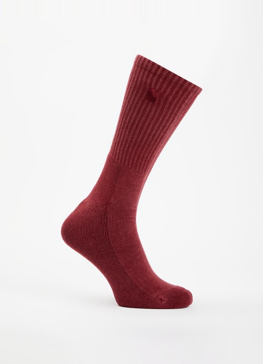 Carhartt WIP Hudson sokken met logoborduring - voorkant cranberryrood