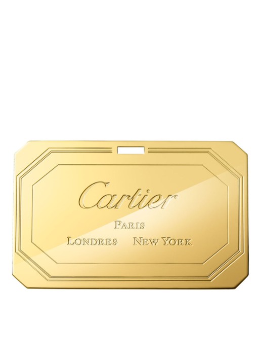 Cartier Guirlande de Cartier handtas van kalfsleer CRL1002226 - detail 7 steenrood